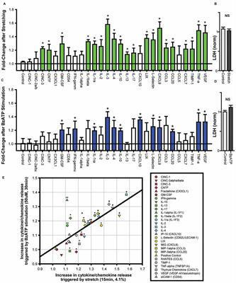 Neuronal Release of Cytokine IL-3 Triggered by Mechanosensitive Autostimulation of the P2X7 Receptor Is Neuroprotective